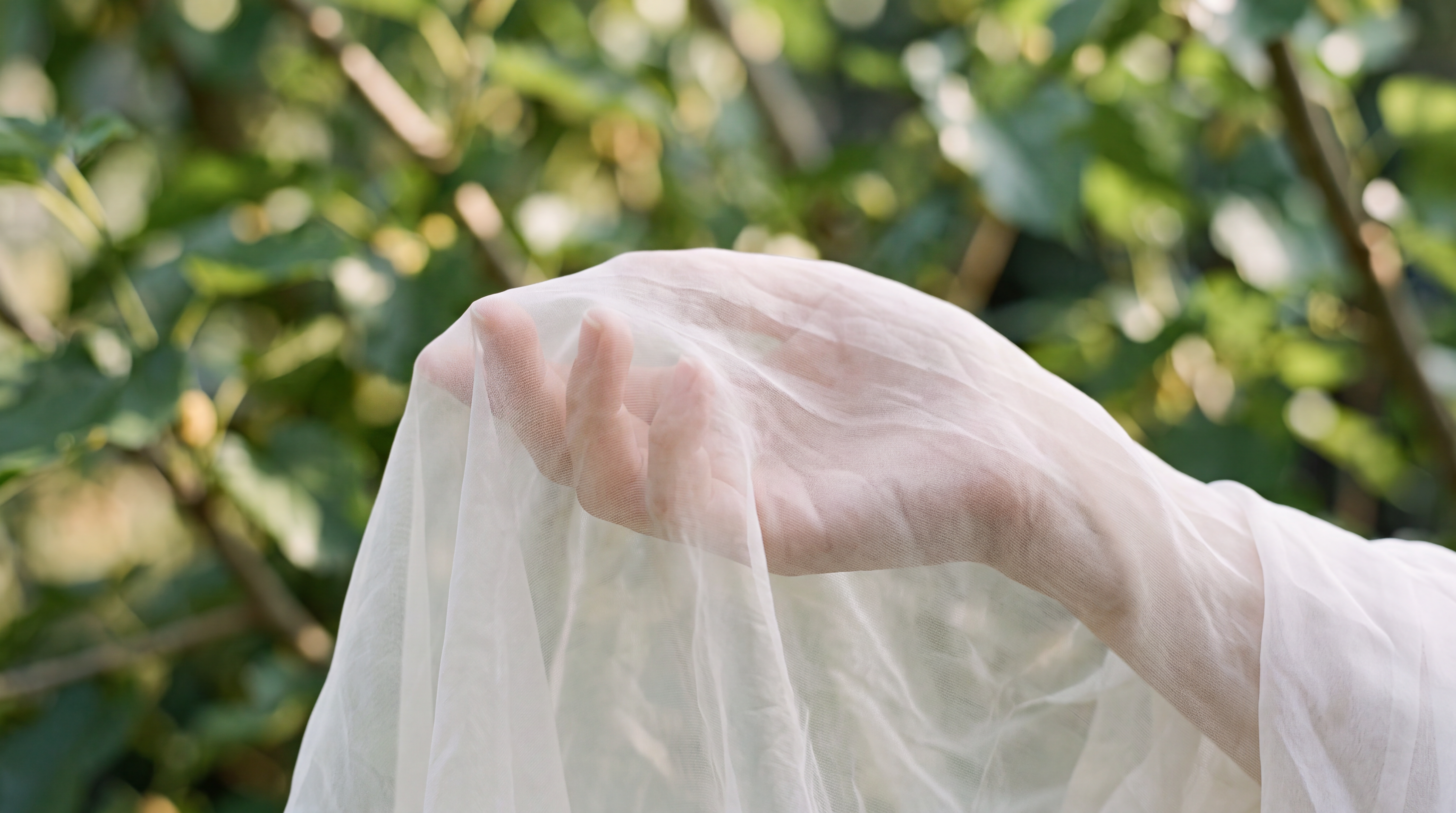 Why is Silk Sustainable?