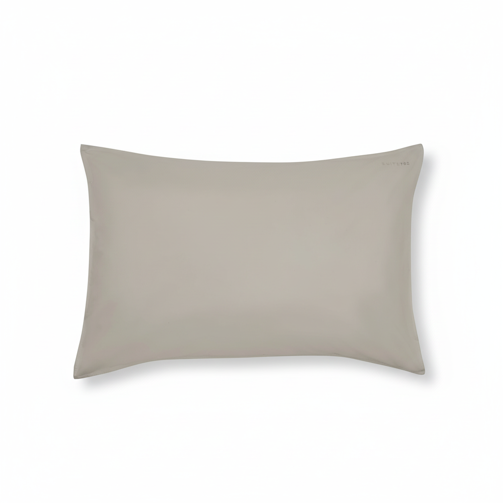 Effortless Silk Pillow Case